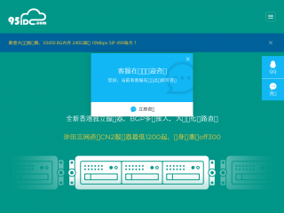95idc.com缩略图