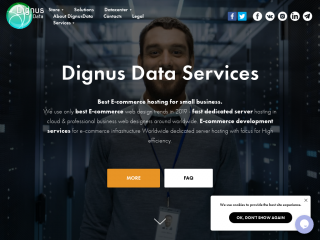 dignusdata.center缩略图