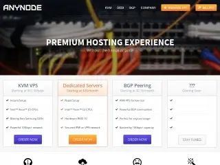 anynode.net缩略图