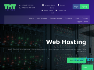 tmthosting.net缩略图