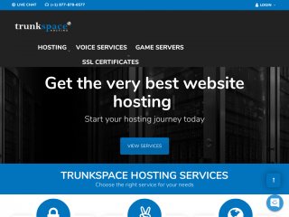 trunkspacehosting.com缩略图